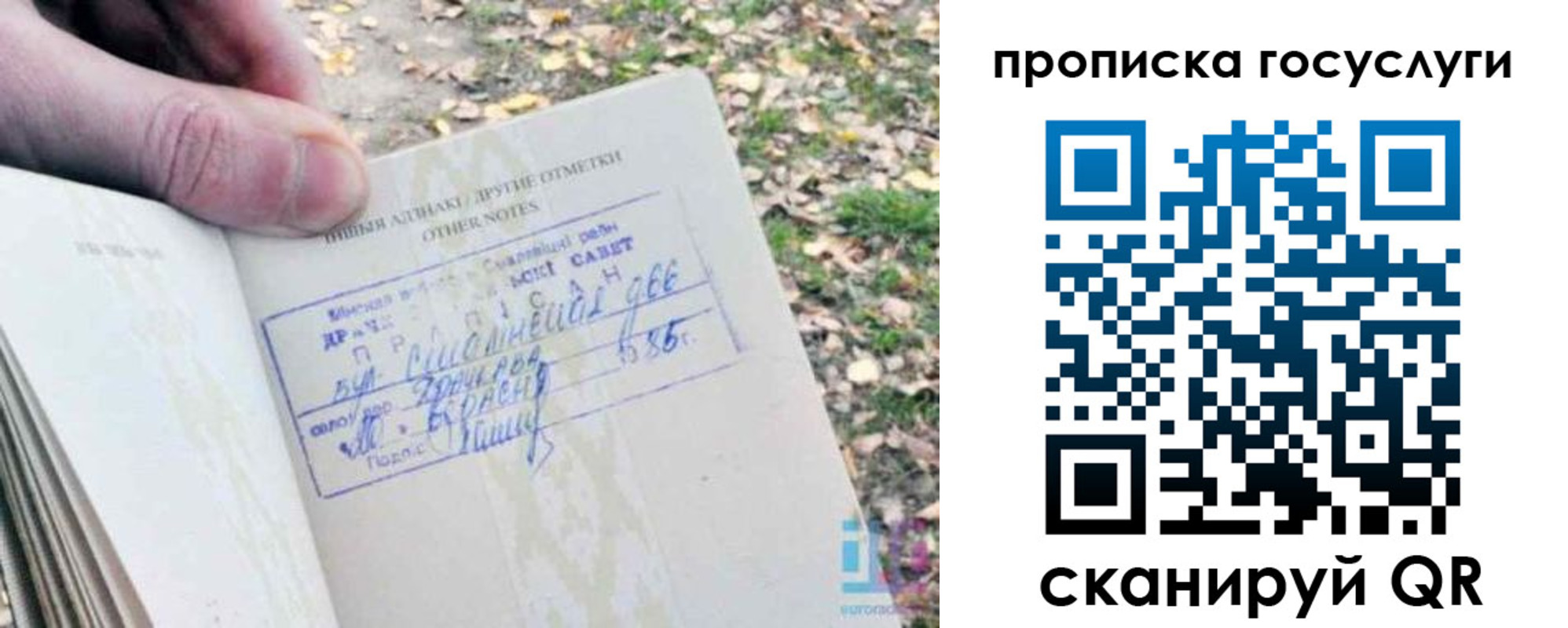 временная регистрация собственник в Волгодонске